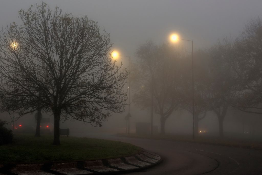 Fog covering the road at night