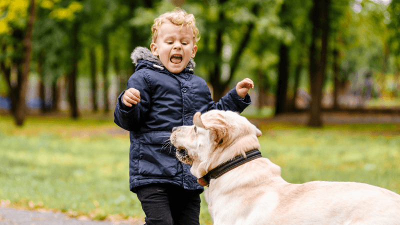 Dog barking at a child