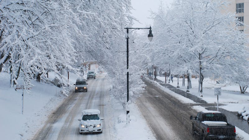 Snow-covered street with cars driving between snowy trees in a winter cityscape.